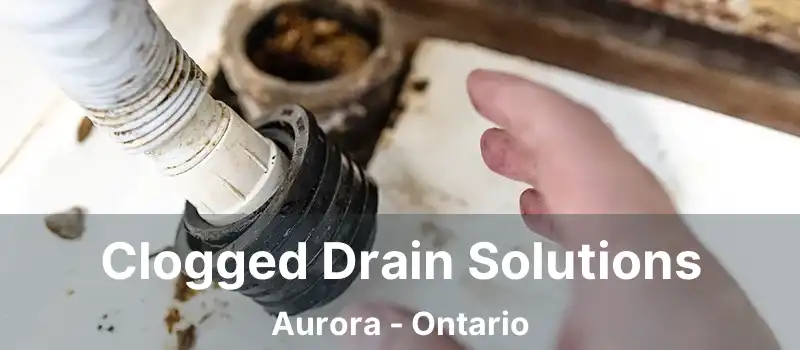  Clogged Drain Solutions Aurora - Ontario