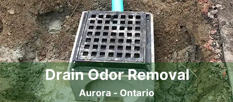  Drain Odor Removal Aurora - Ontario